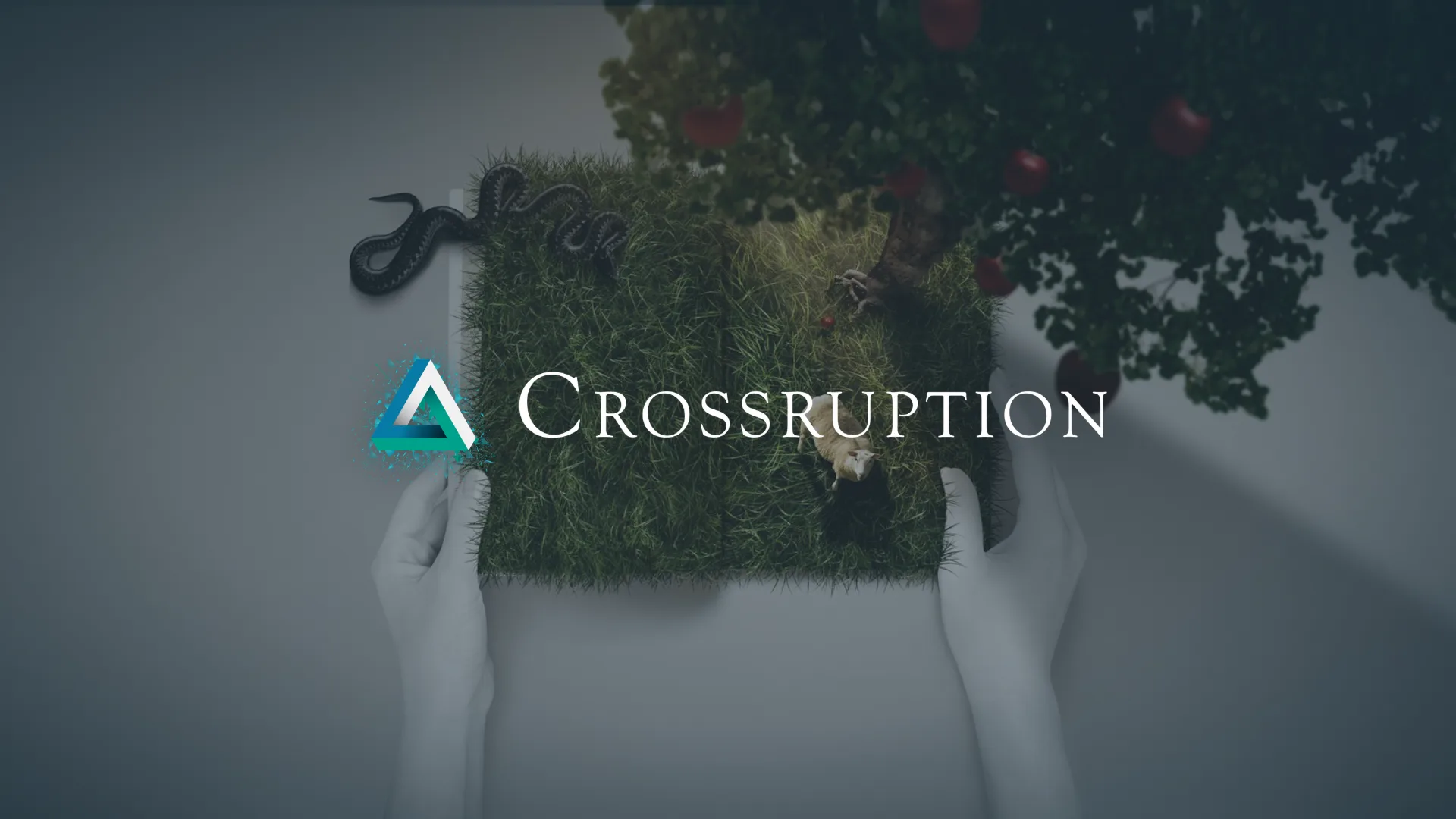 Crossruption project